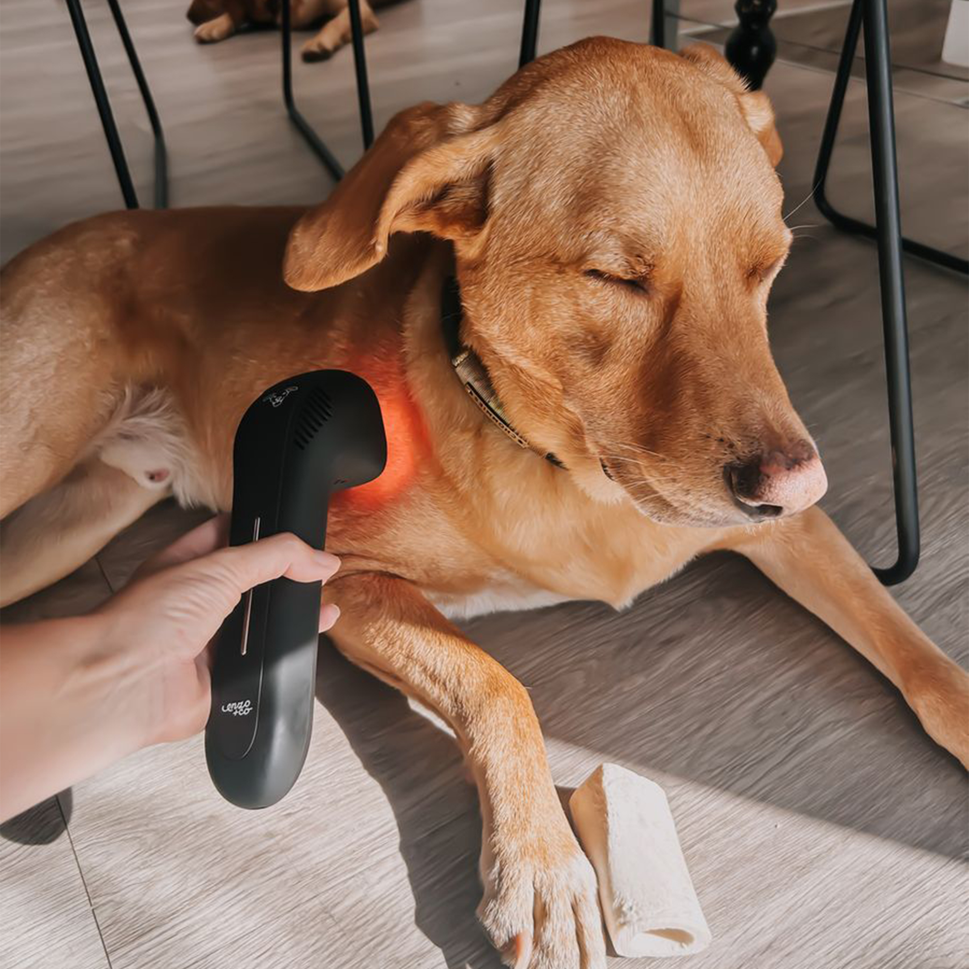 Pet Pain Relief Infrared and Red Light Therapy Device