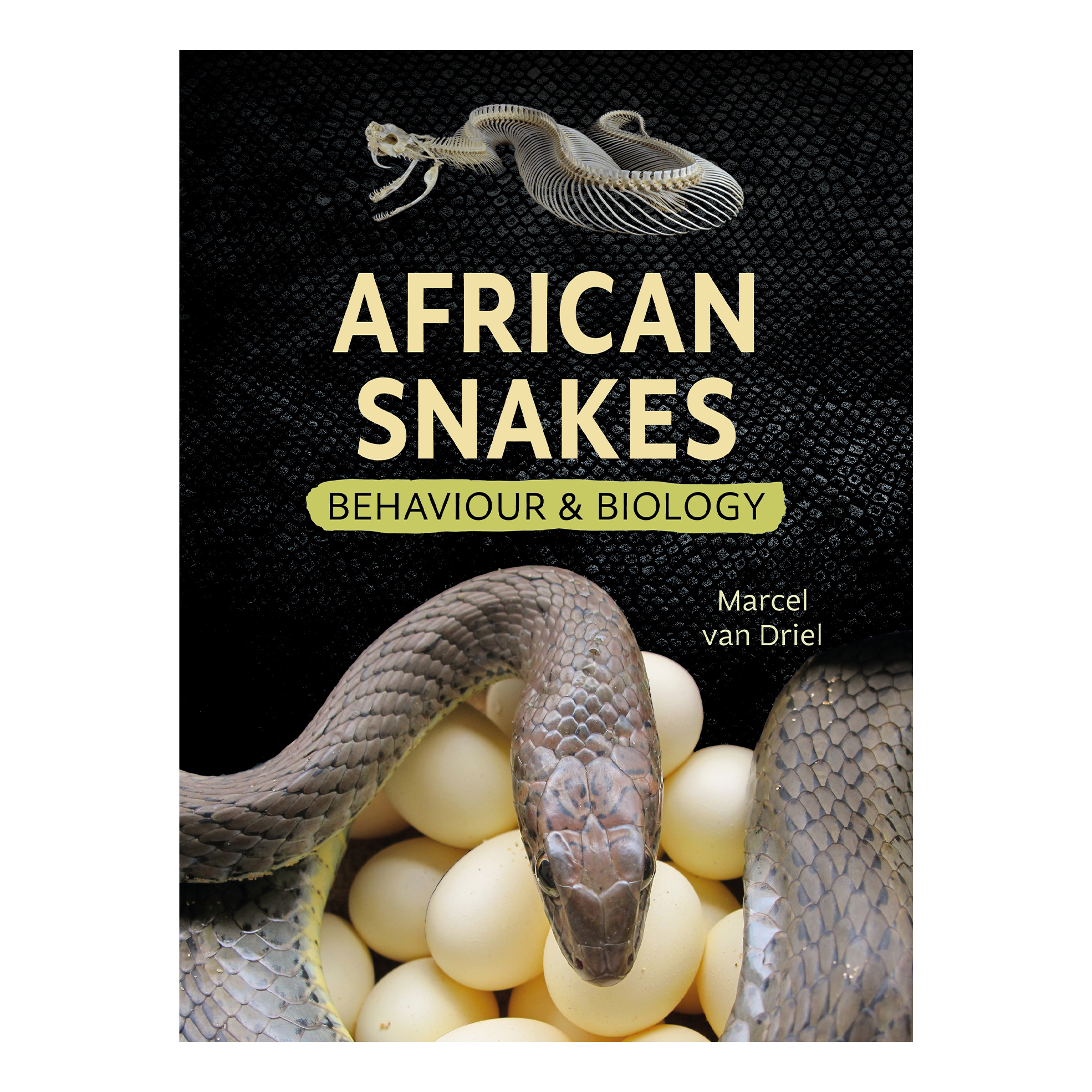 African Snakes: Behaviour and Biology (Paperback)