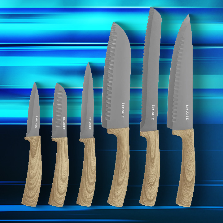 6-Piece Stainless Steel Knife Set