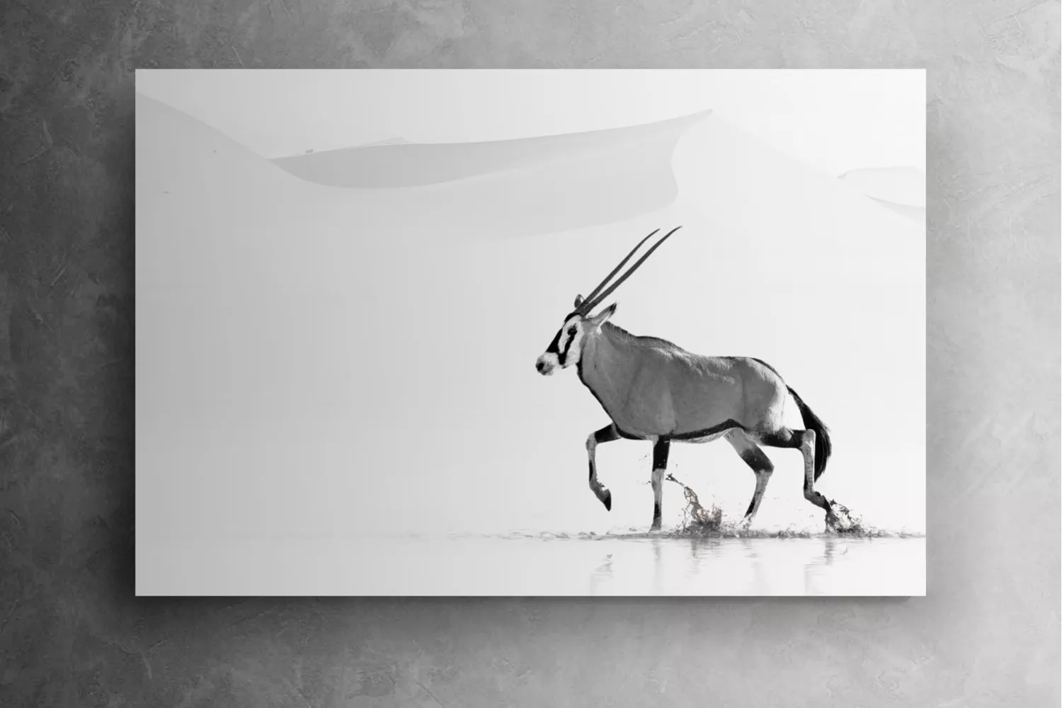 Running Free
