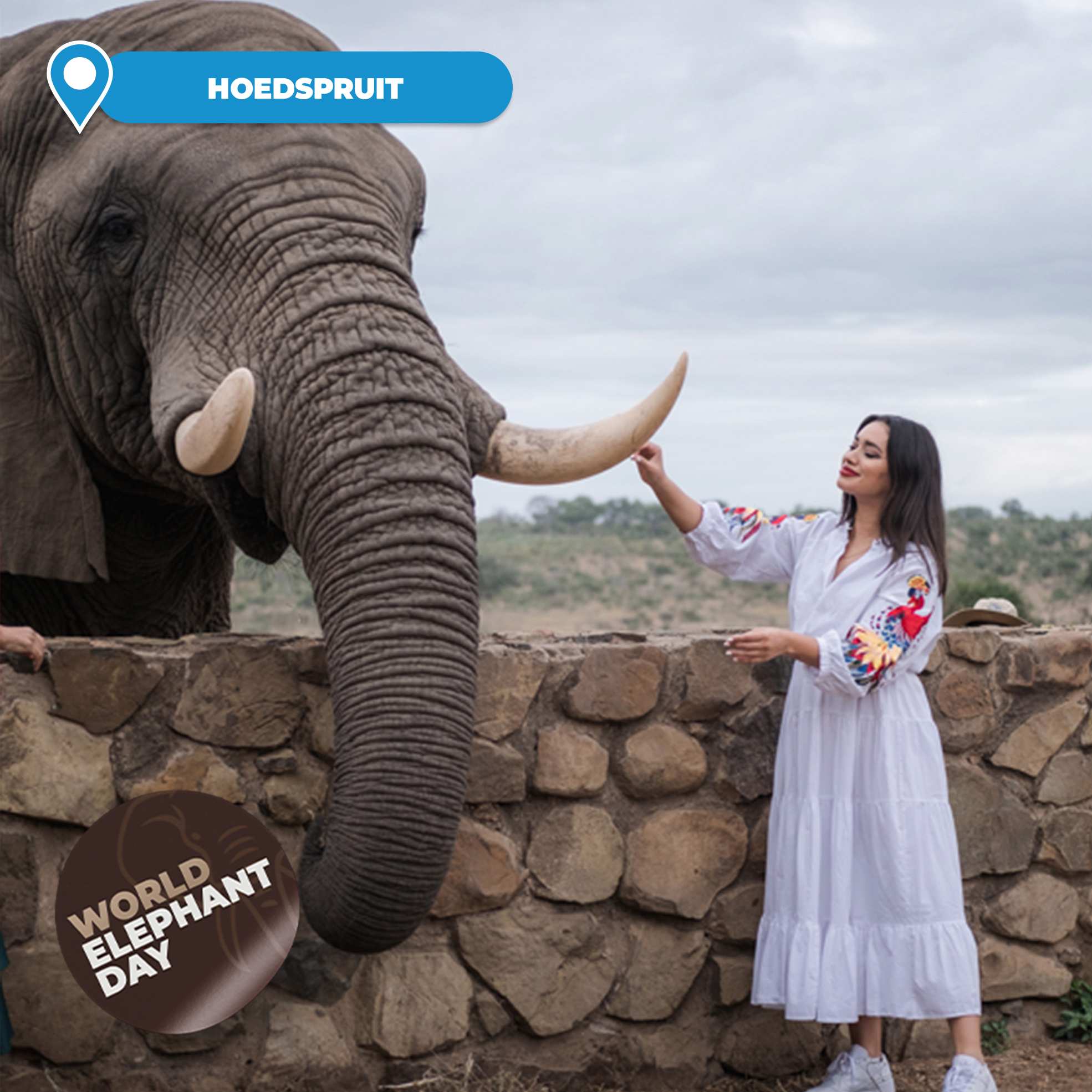 90-Minute Elephant Experience Per Adult and Child