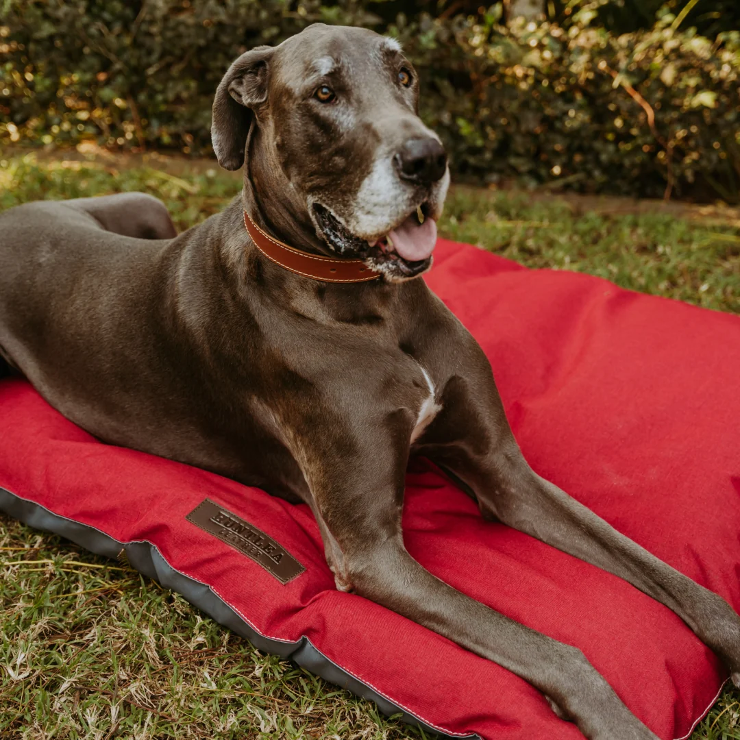 Urban Pillow Bed