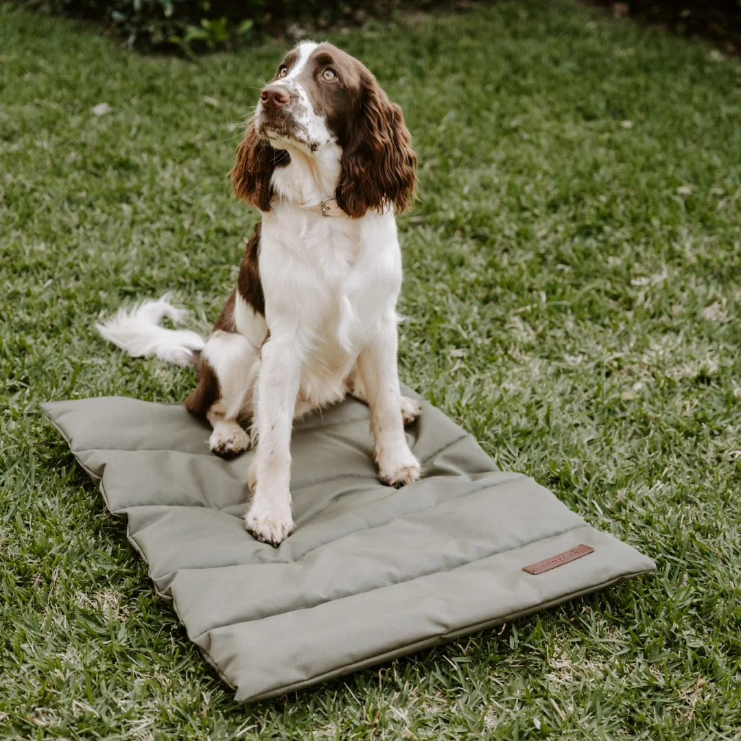 Kalahari Travel Mat