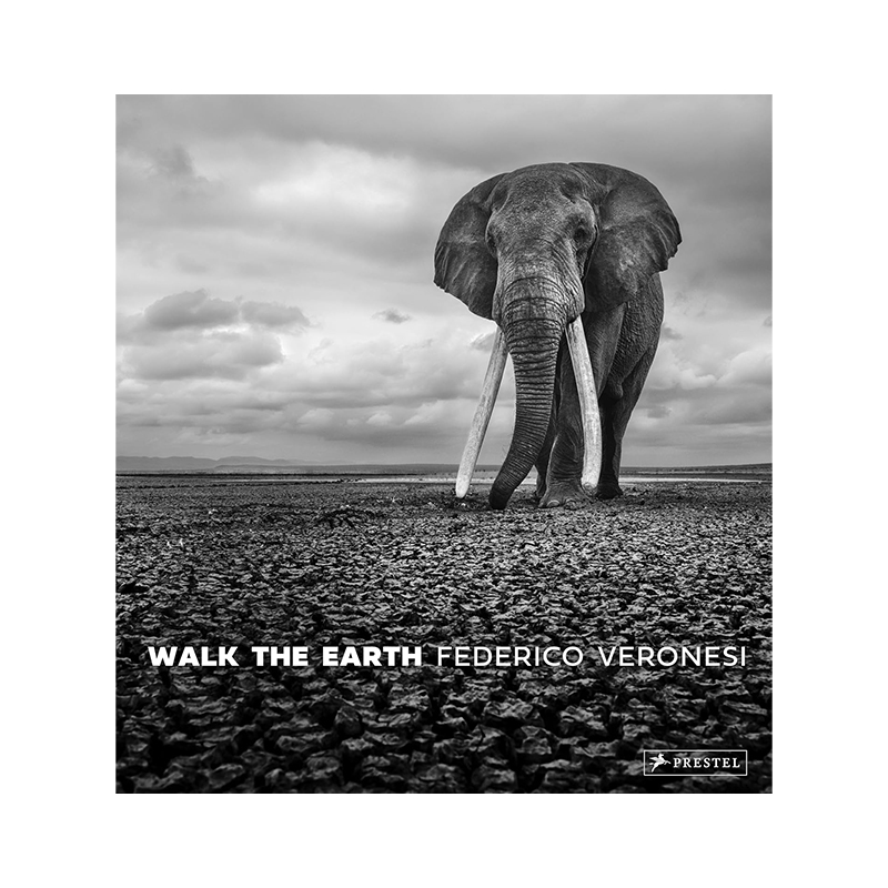 Walk The Earth: Photographs of Africa's Last Great Elephants (Hardcover)