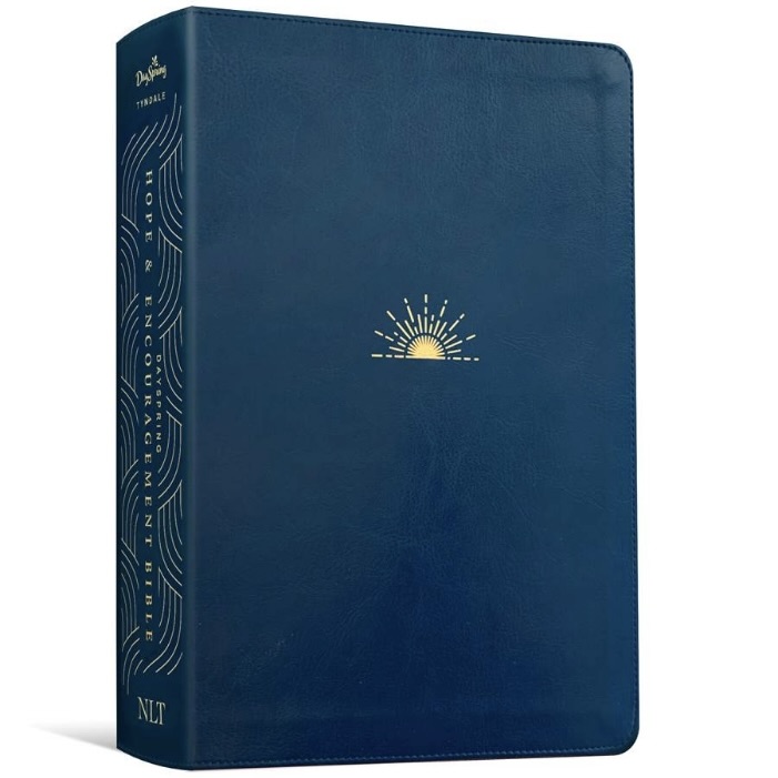 Imitation Leather DaySpring Hope & Encouragement Bible