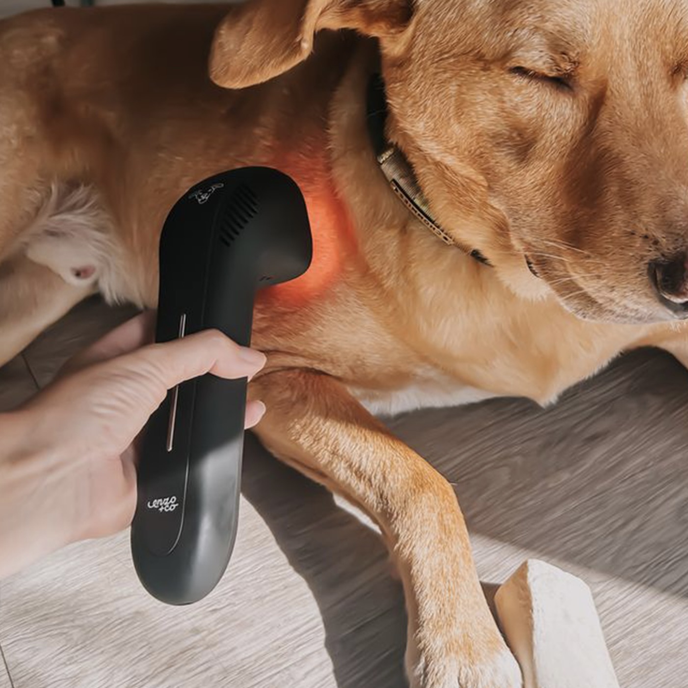 Pet Pain Relief Infrared and Red Light Therapy Device
