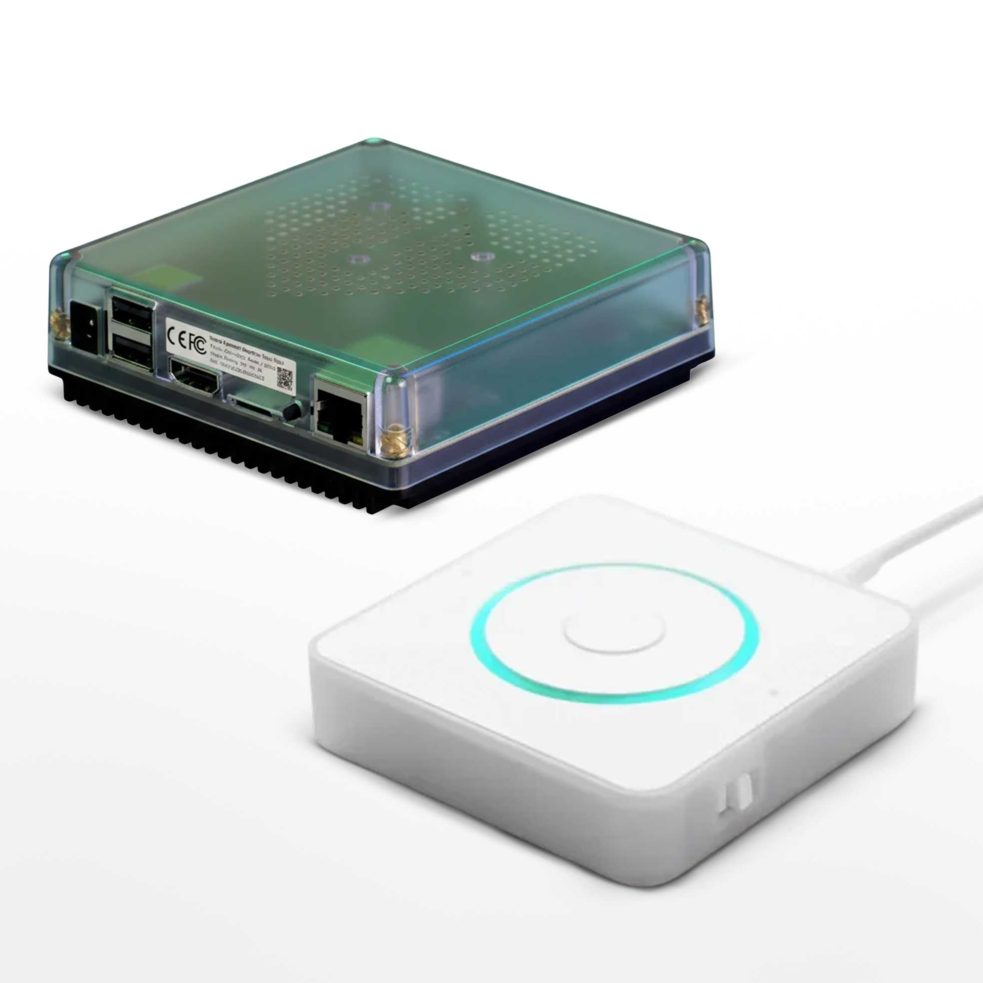 Smart Home Hub with Voice Assistant
