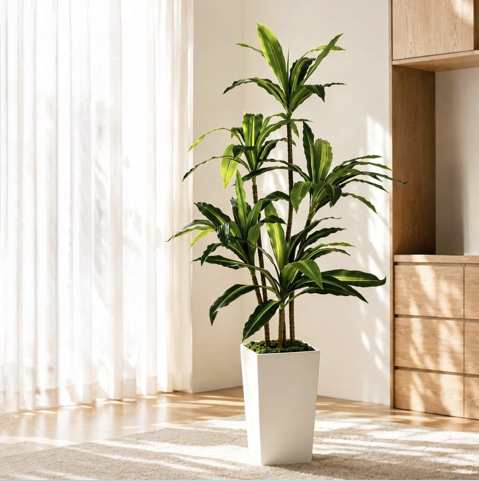 Artificial Dracaena Plant with Pot