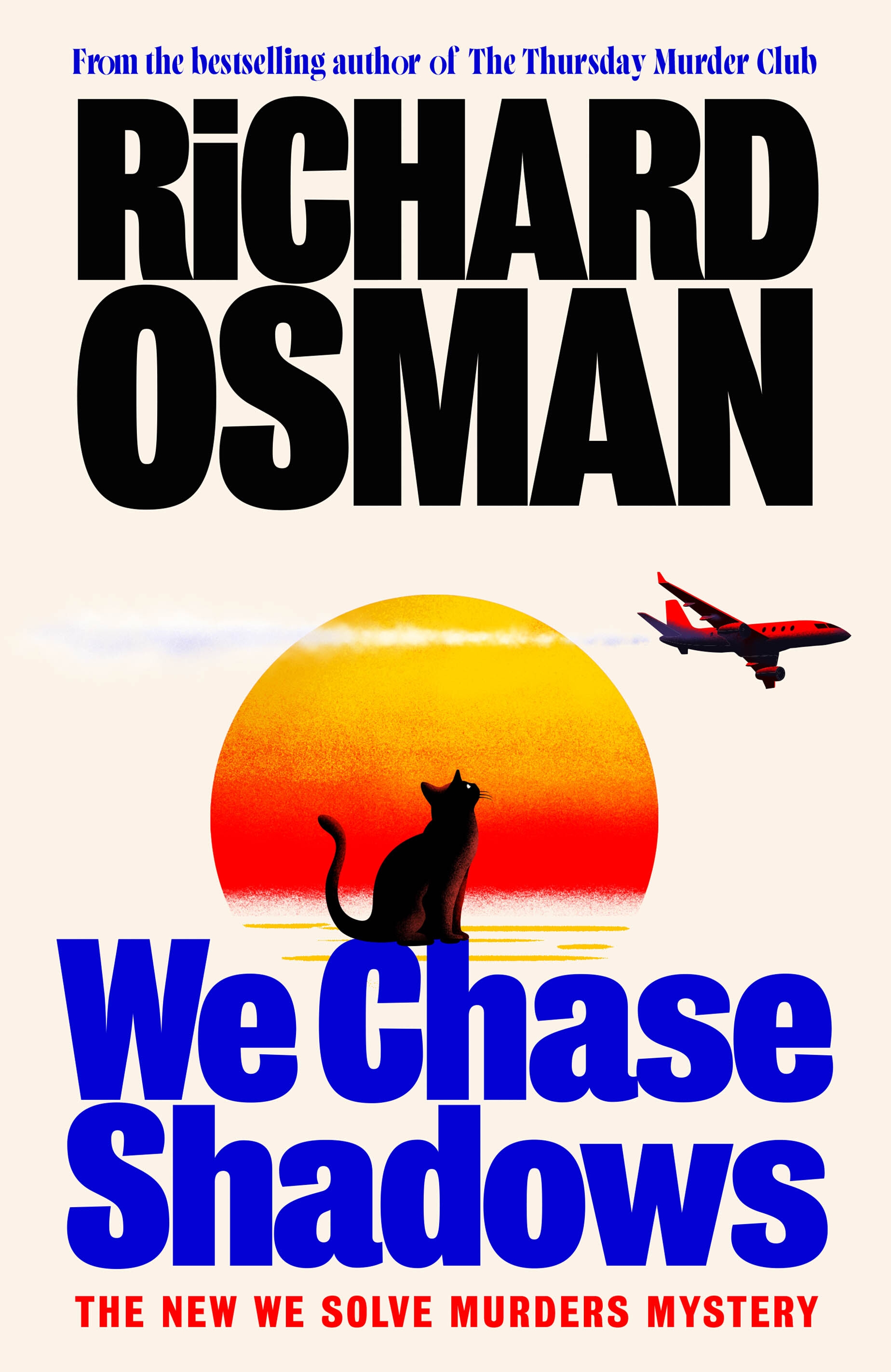 We Chase Shadows: We Solve Murders Book 2 (Paperback)