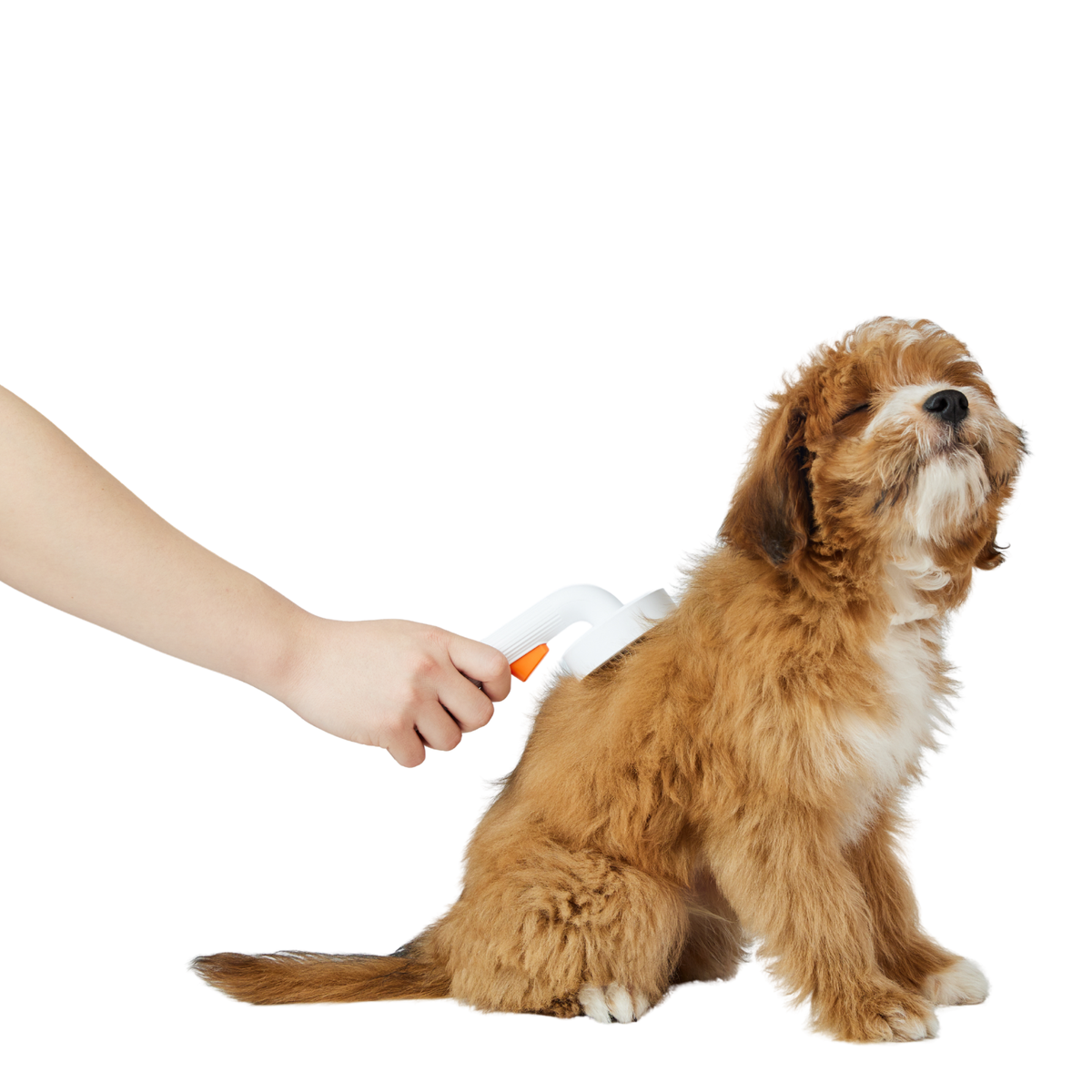 2x Pet Grooming Brushes for Dogs & Cats