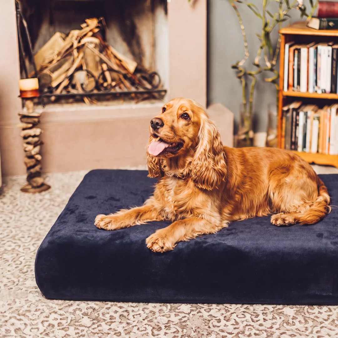 Comfort Pad Dog Bed