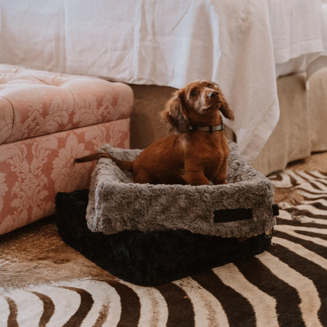Snooza Cube Pet Bed