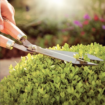 Grass and Hedge Shears with Metal Teethed Blades and Wood Handles