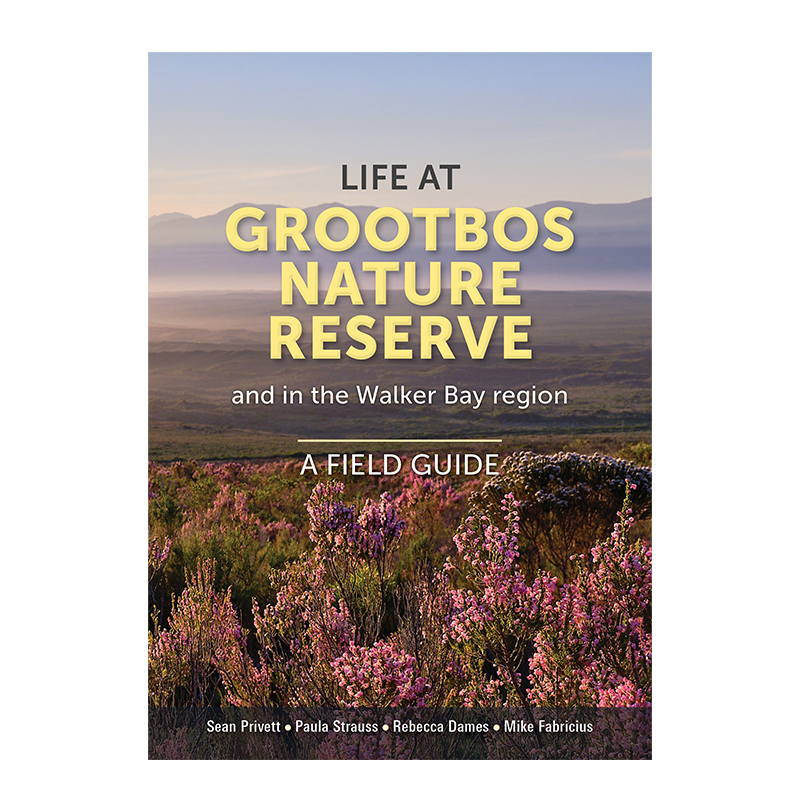 Life at Grootbos Nature Reserve and in the Walker Bay Region