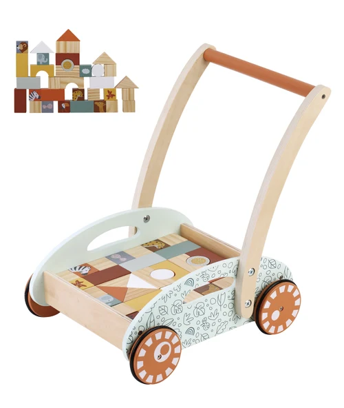 Baby Walker with Blocks Set