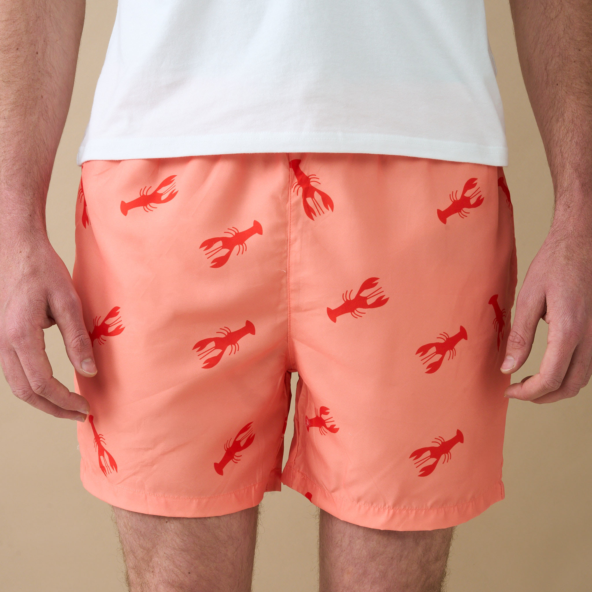 Men's Printed Board Shorts