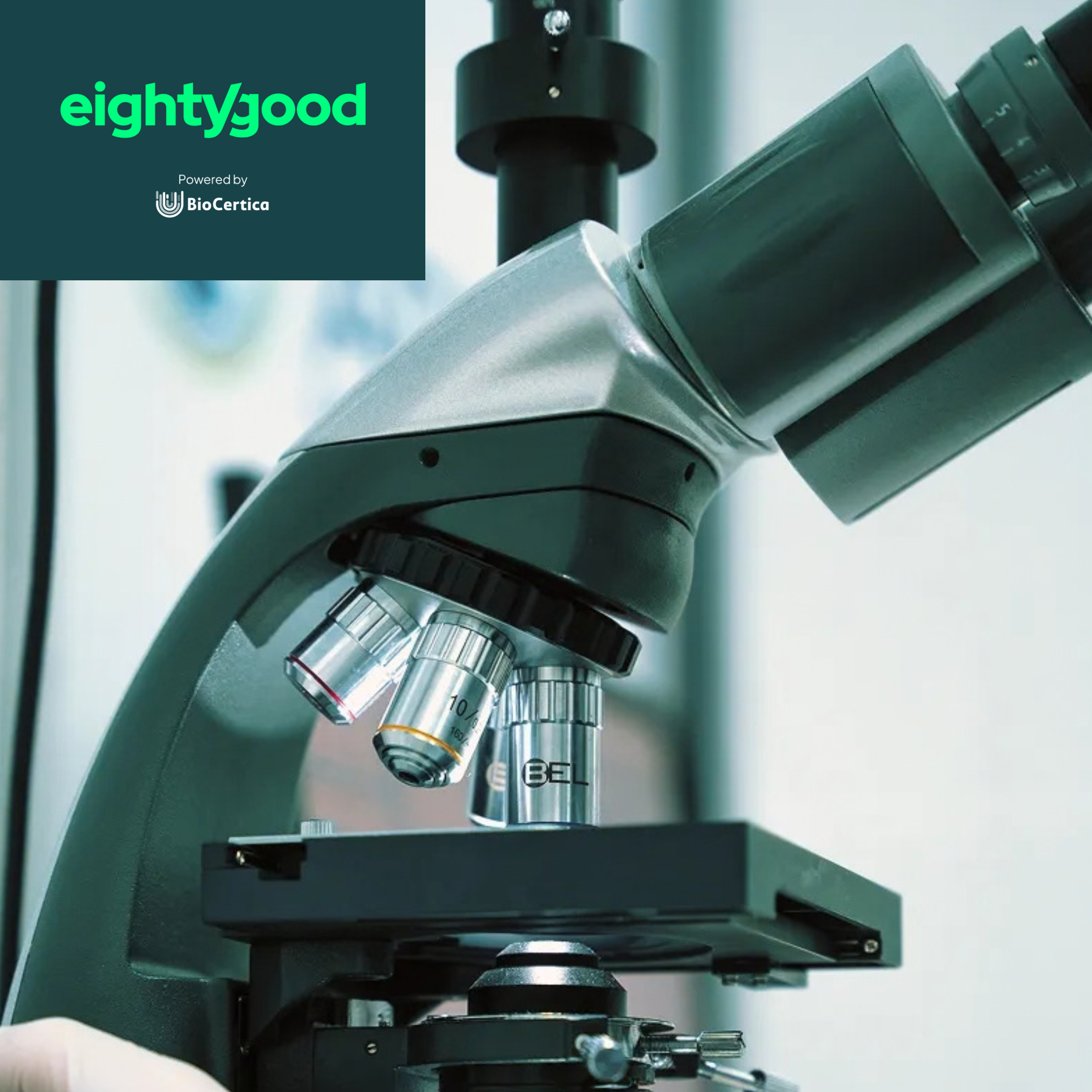 Eightygood Powered by BioCertica Complete DNA Wellness Testing Kit — R3499 on OneDayOnly (was R5400)