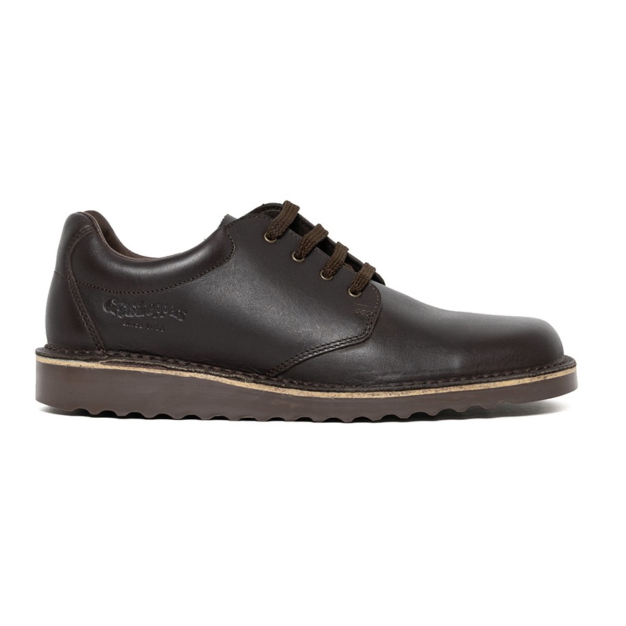 Men's Brown Genuine Leather Ajay Lace Up Shoes
