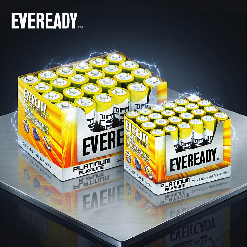 24x AA or AAA Platinum Alkaline Batteries