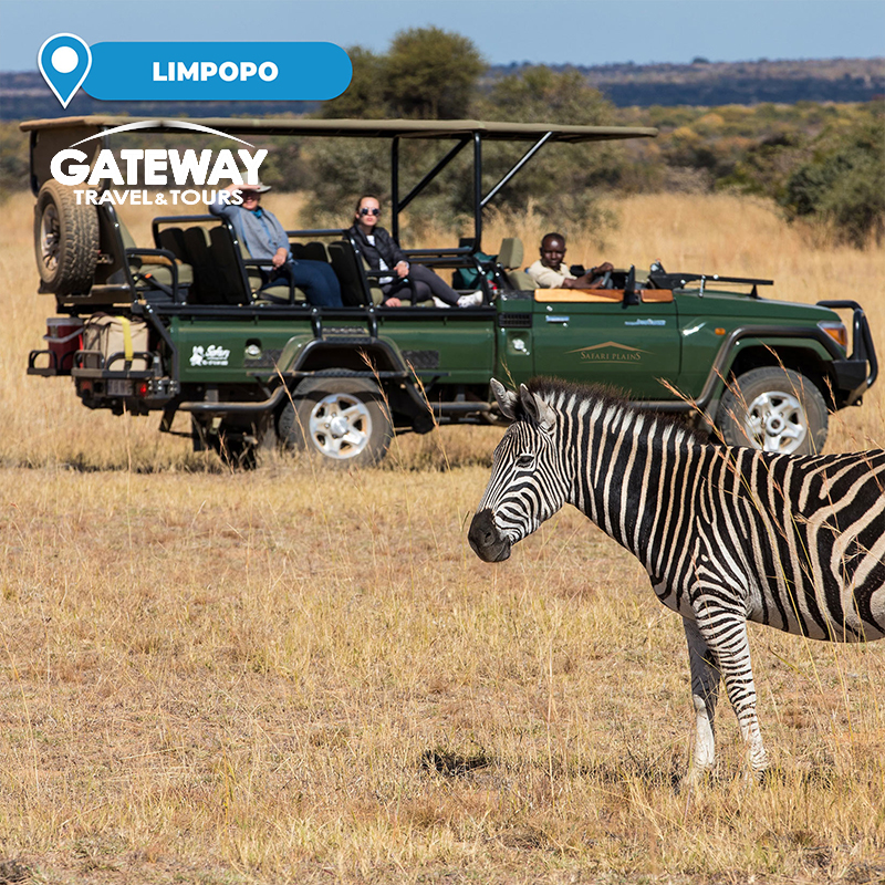 2-Night Stay in a Safari Suite at 5* Safari Plains Including All Meals