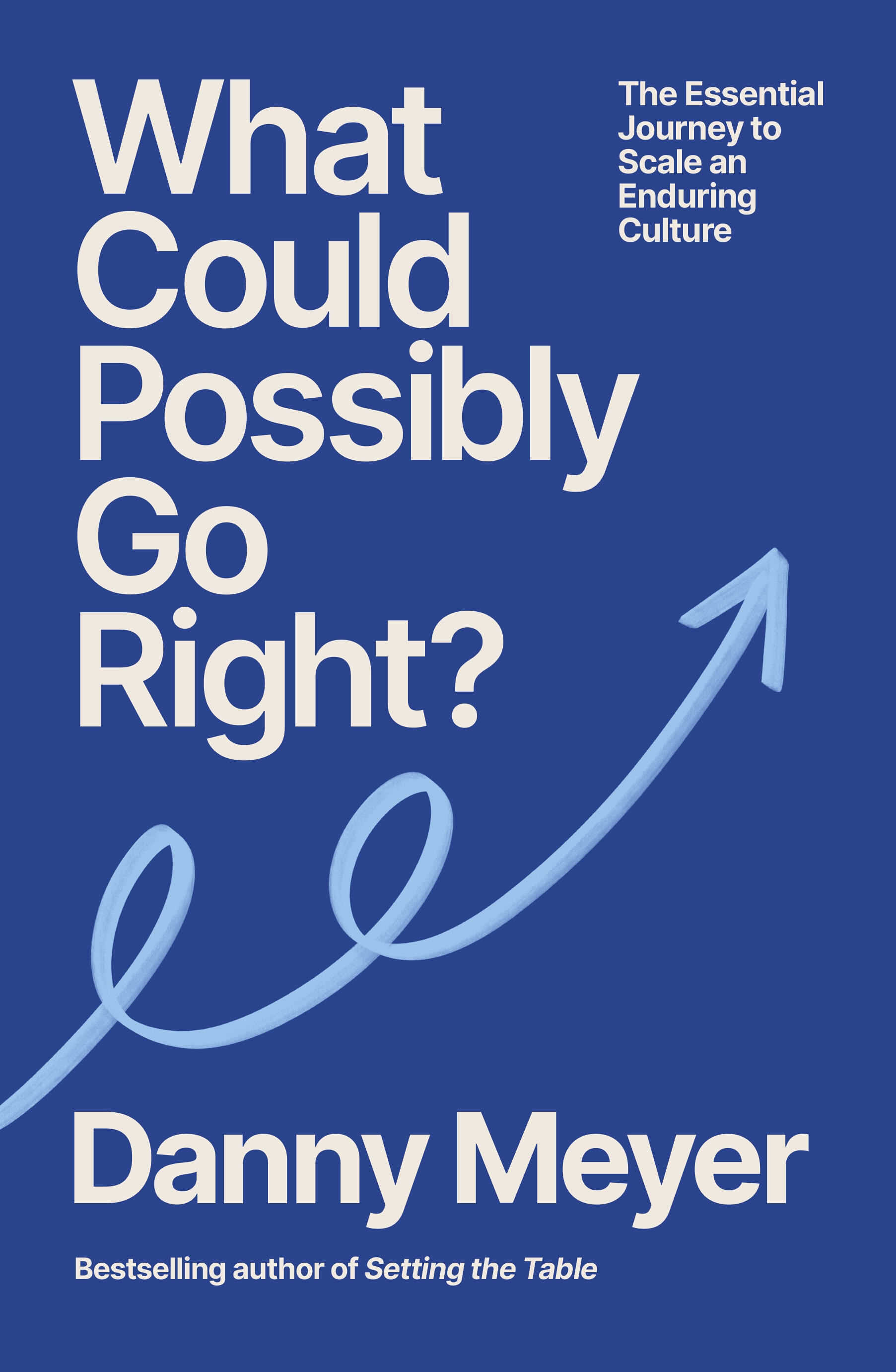 What Could Possibly Go Right? (Trade Paperback)