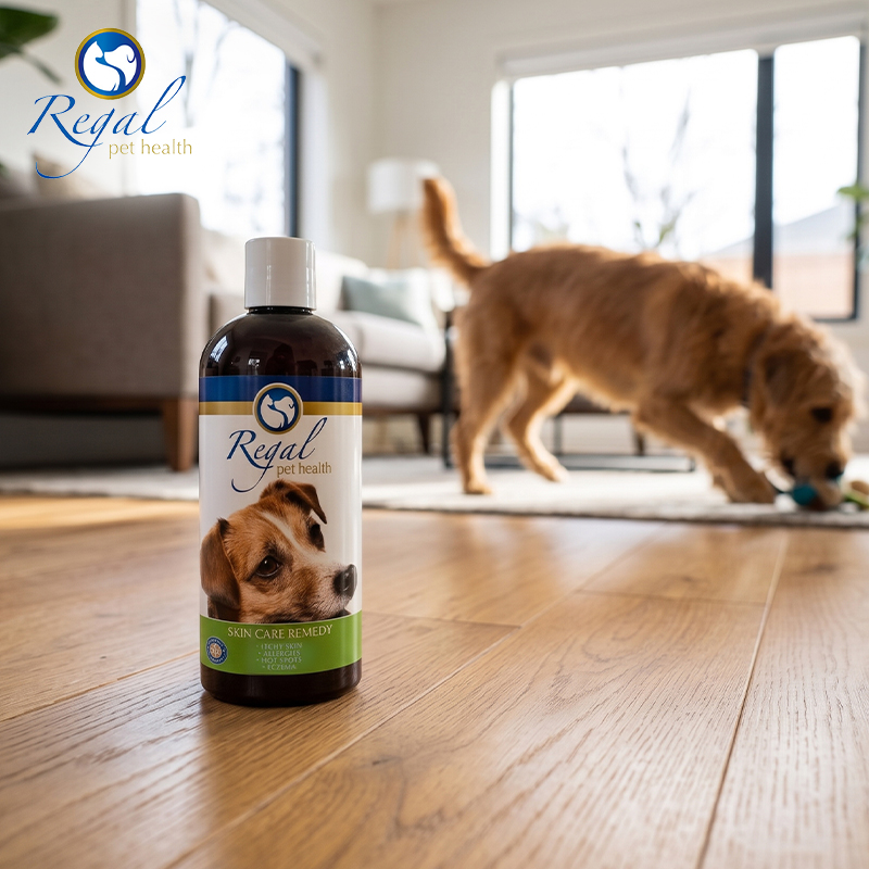 400ml Skin Care Remedy for Dogs