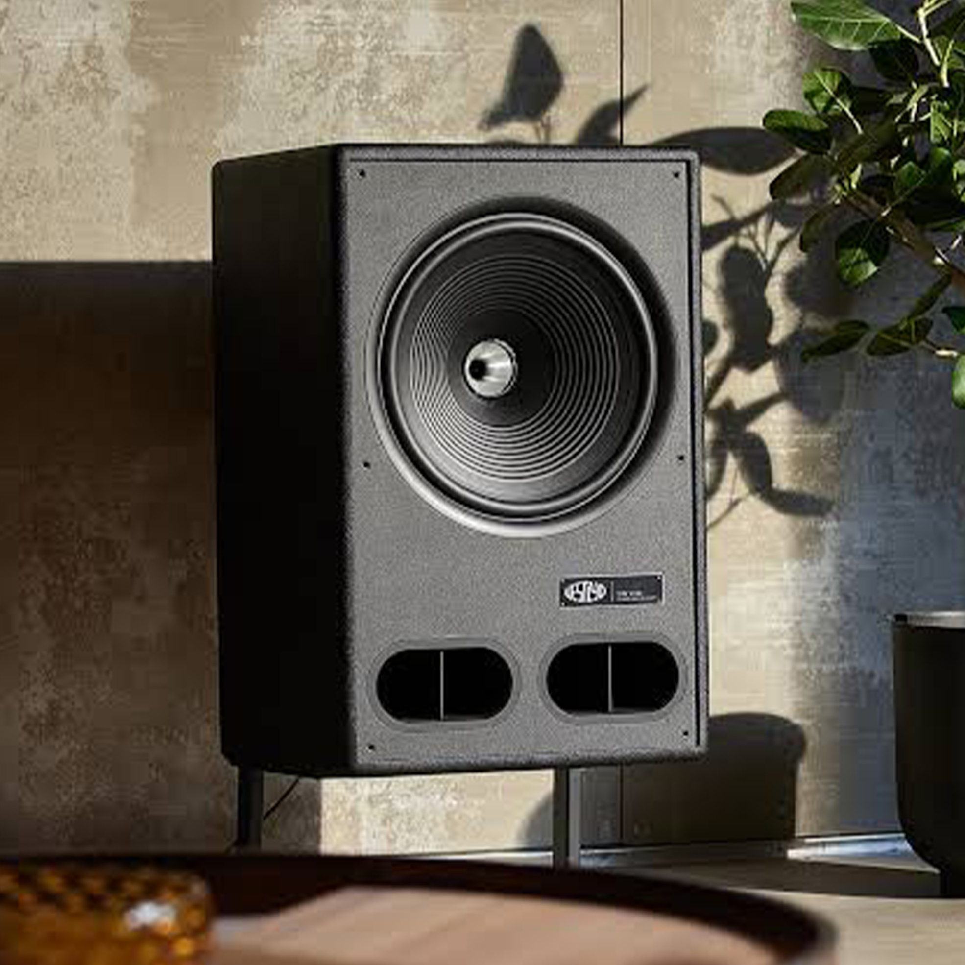 Coaxial Loudspeaker System (Model: V15C)