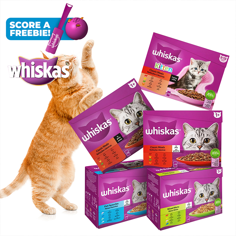 85g Adult Wet Food (12's)