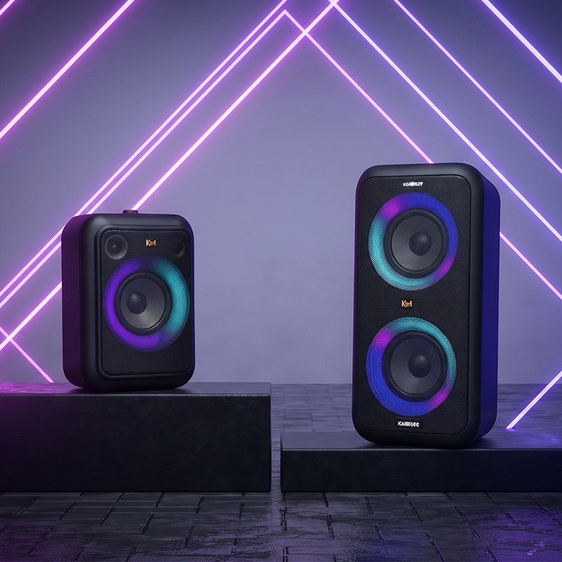 GIG Party Speaker