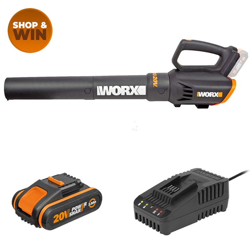 20V Turbine Leaf Blower and Wall Mount