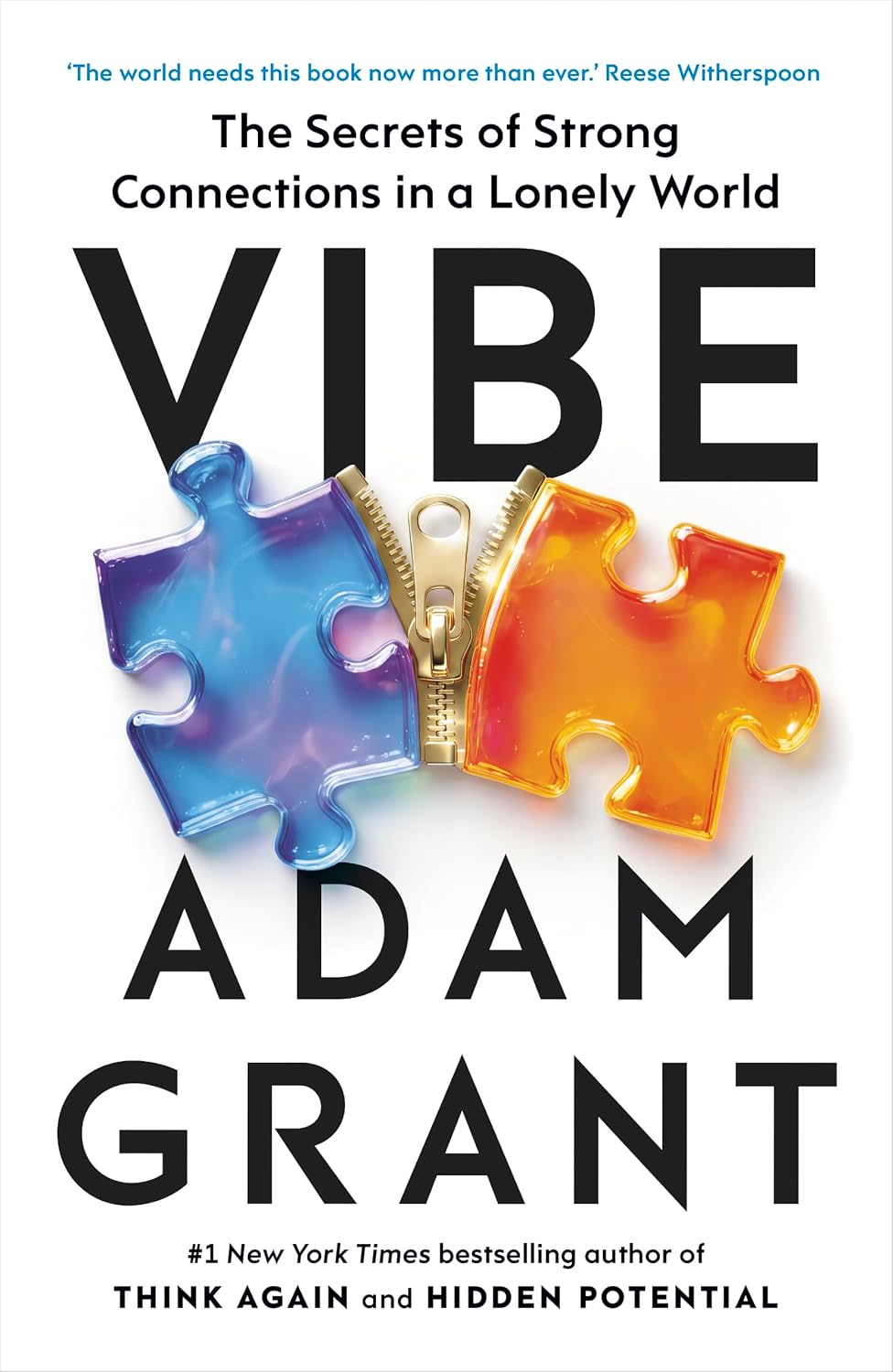 Vibe: The Secrets of Strong Connections in a Lonely World (Paperback)