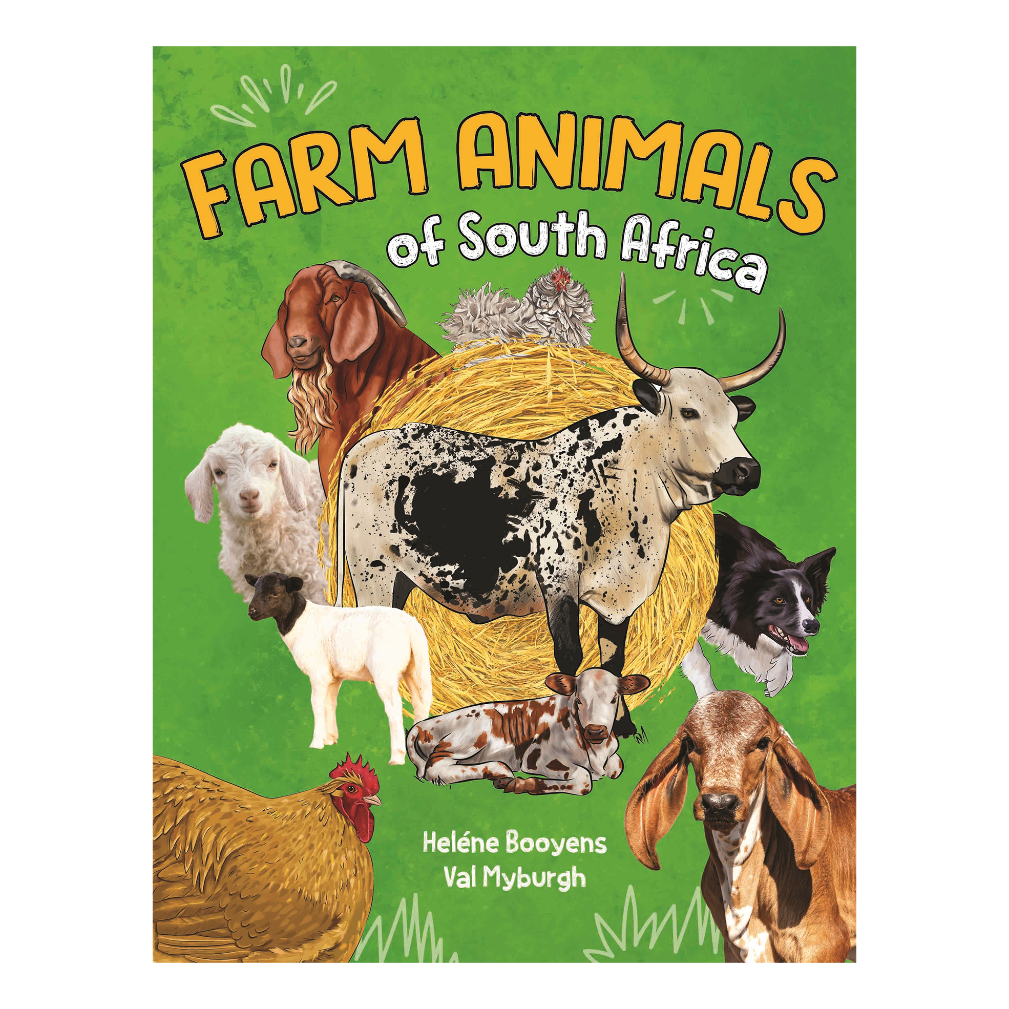 Farm Animals of South Africa