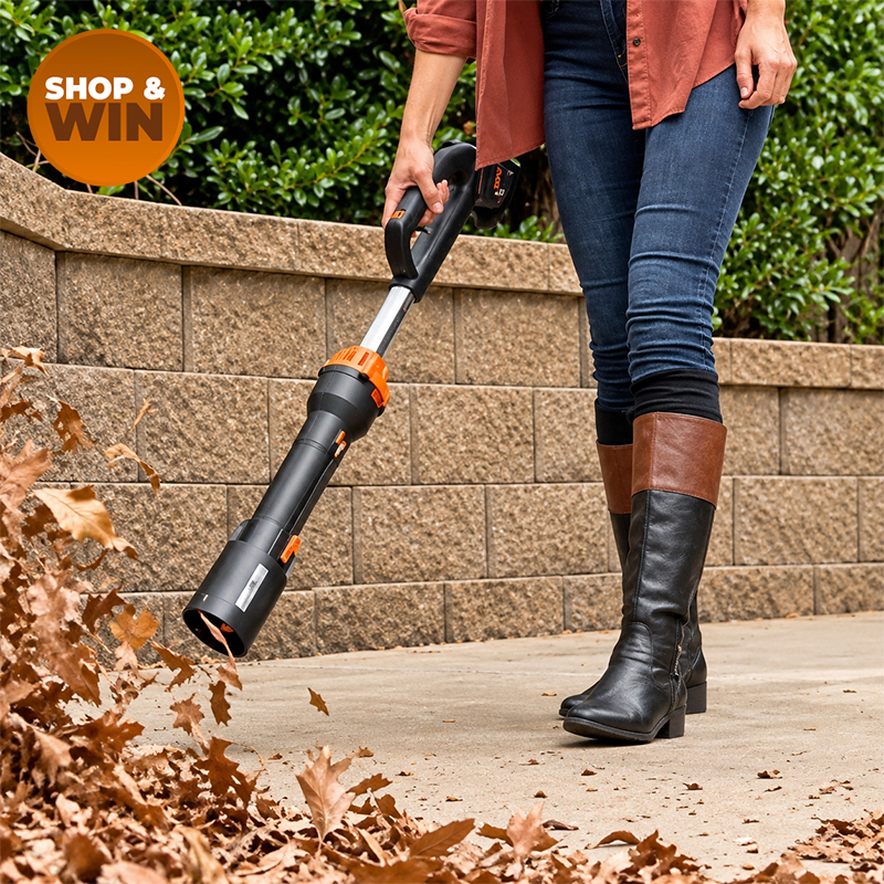 Compact Leaf Blower and Wall Mount