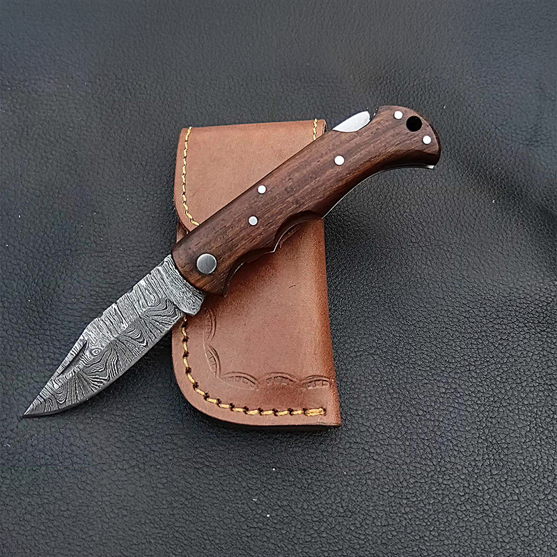 Back Lock Damascus Steel Folding Knife (Model: SAF-5501)