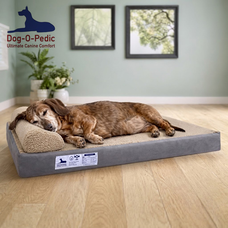 Stimulated Latex Foam Pharoah Orthopedic Mattress