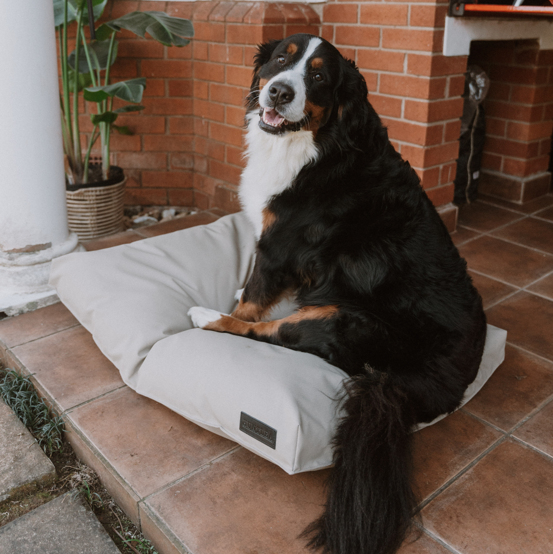 Kalahari Orthopaedic Dog Bed