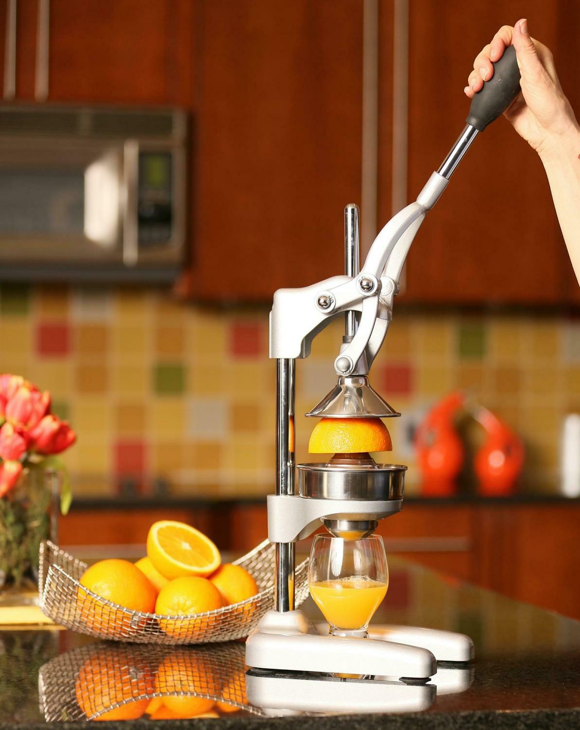 45 off on Premium Citrus Press OneDayOnly