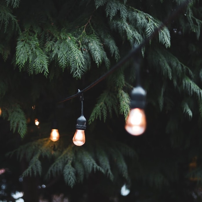 Bulbs not included (Photo by Philip Moore on Unsplash)