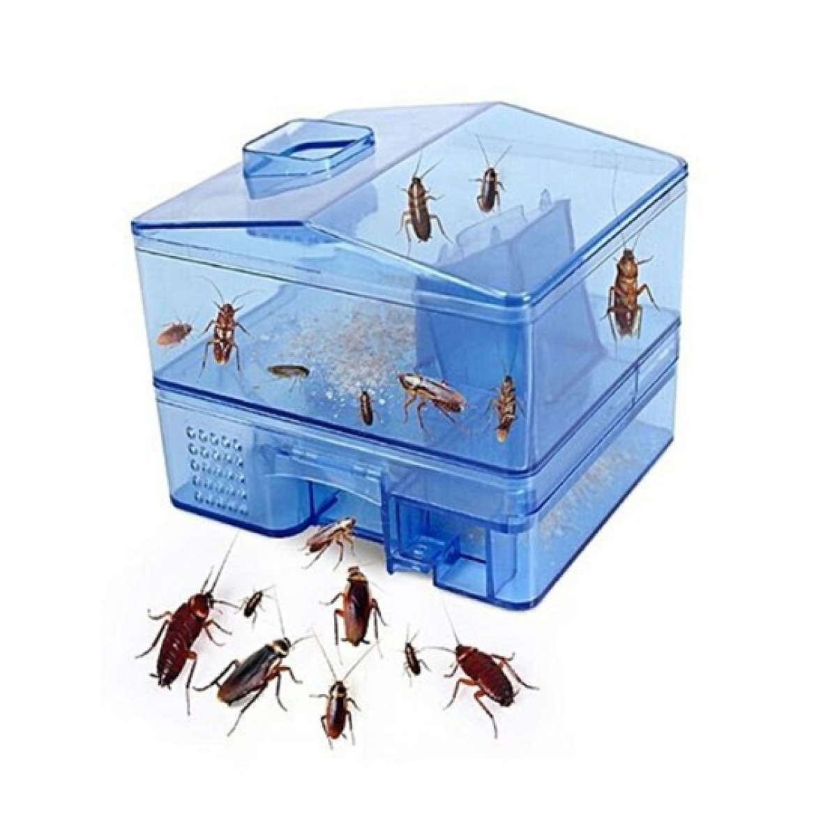 45 off on Pest Control OneDayOnly