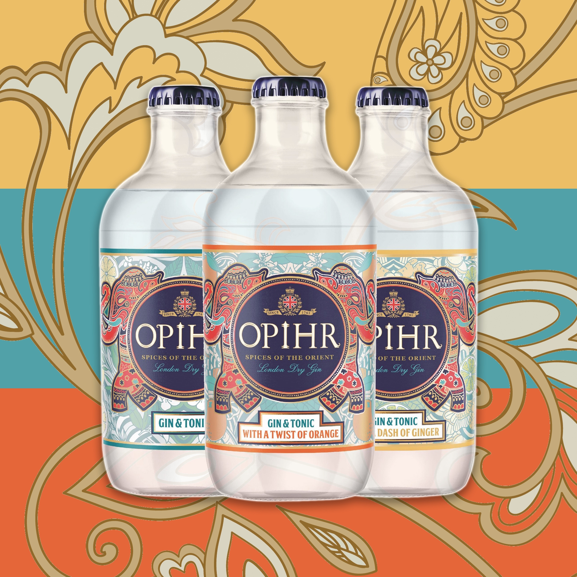 Pack of 12 Ready-to-Drink