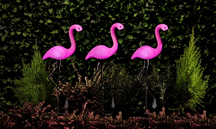 25% off on Lumos 3x Flamingo Solar Lights | OneDayOnly