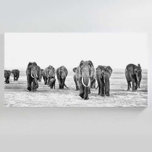 Elephant Walk Canvas