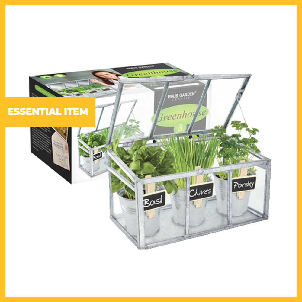 Classic Herb Greenhouse OneDayOnly
