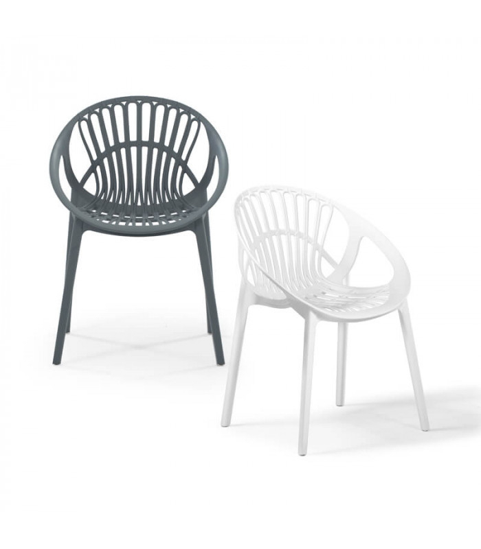 Contemporary Polypropylene Dining Chair