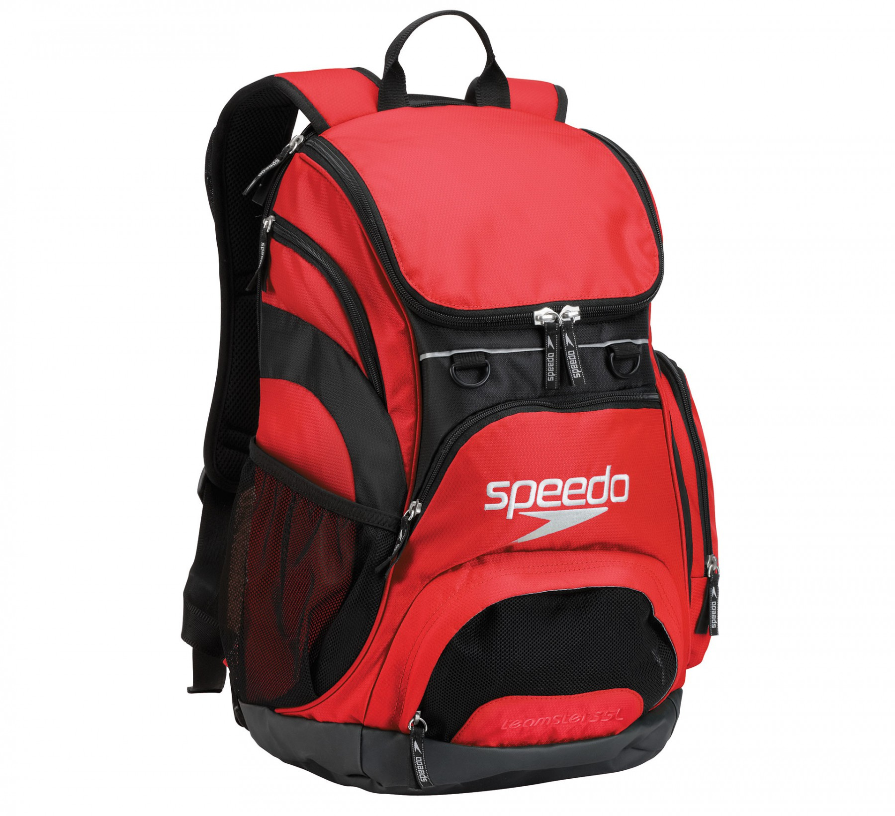 Speedo teamster 2024 backpack scales