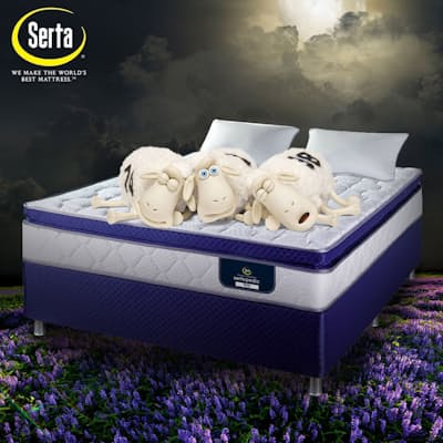 SertaPedic Bella Continuous Coil Technology Pillow Top Flip Free Bed Set with 2 High Density Memory Foam Pillows and a Waterproof Mattress Protector Included