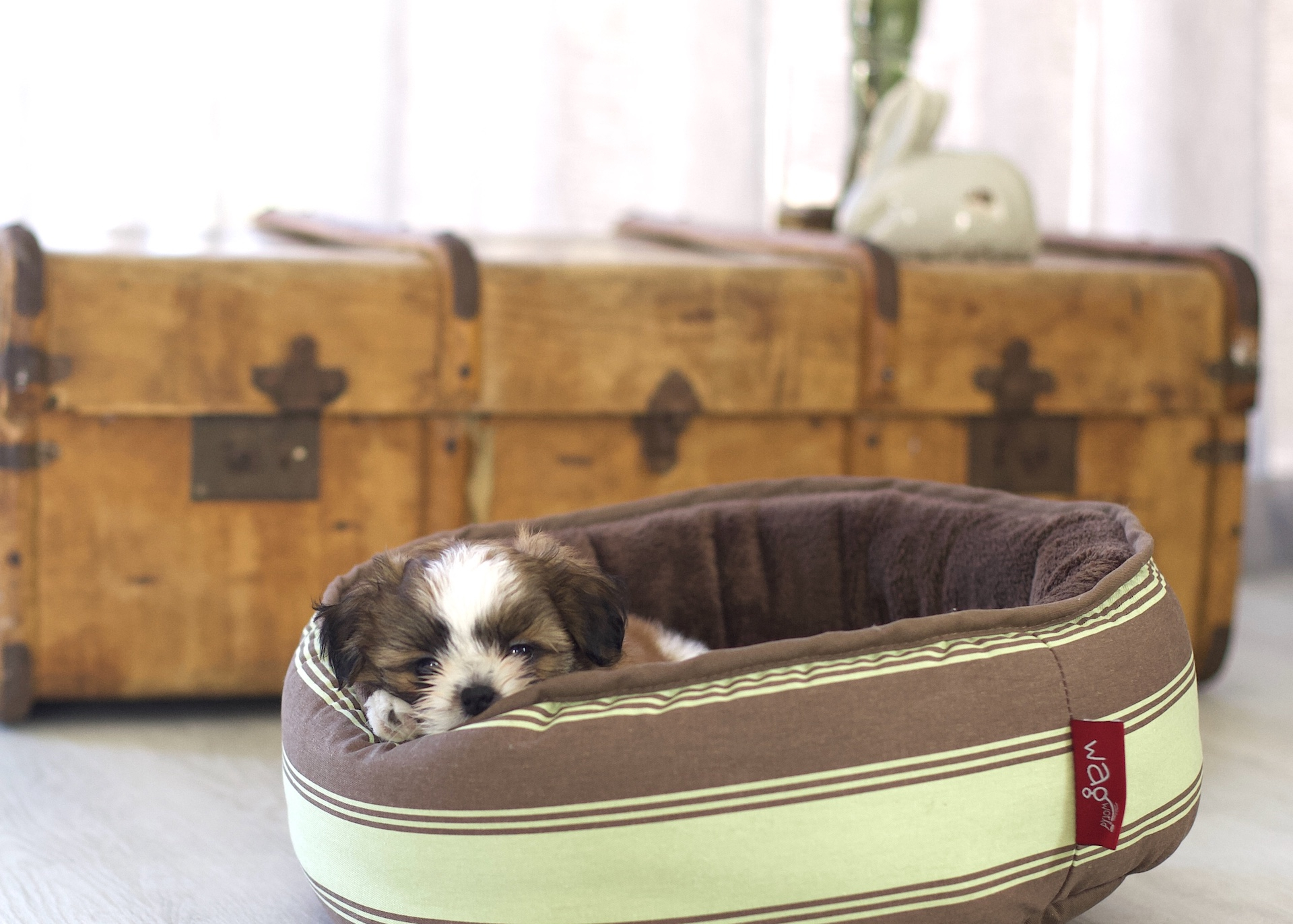 kingpets hamburger bed large