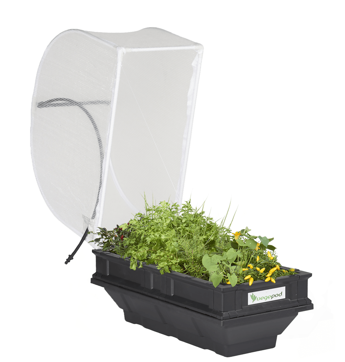 Garden Pod with Stand