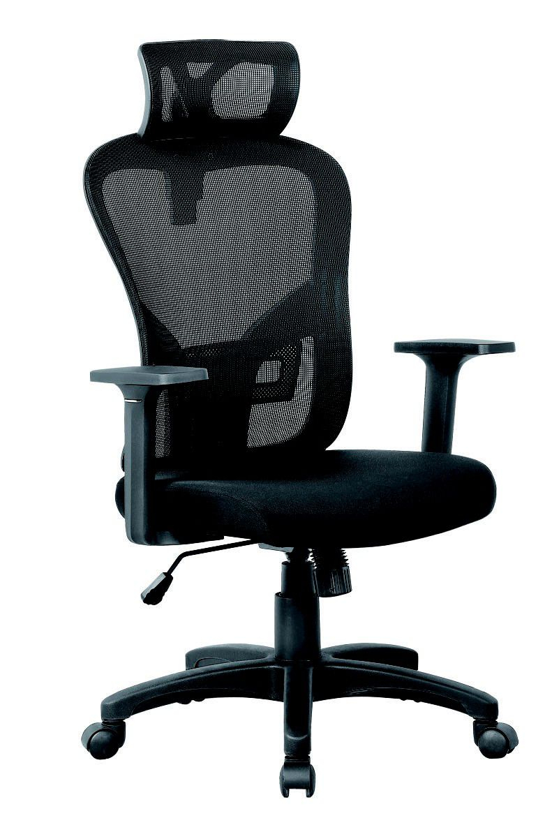 20% off on Linx Harrison High Back Mesh Chair | OneDayOnly