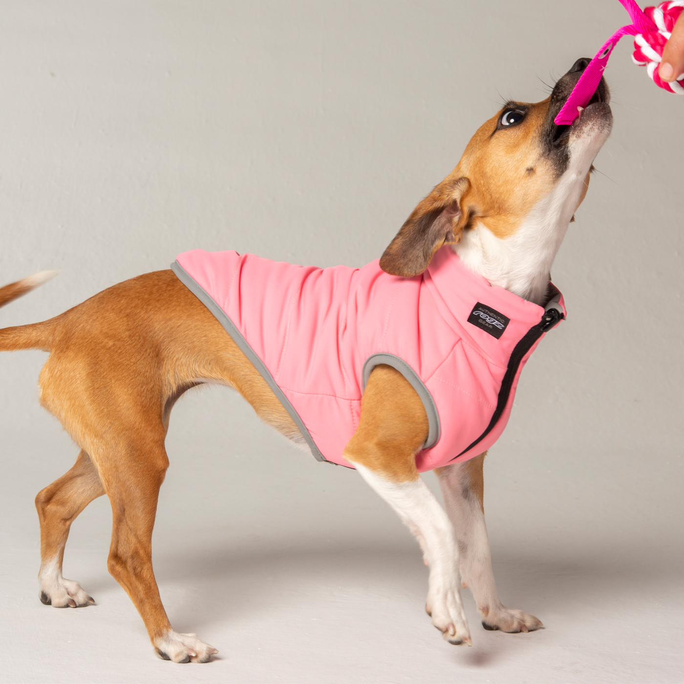 31 off on Rogz PufferSkin Dog Jacket OneDayOnly